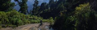 person on bike on dirt road with trees and mountain in background