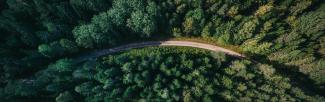 An aerial shot of a road running through a forest 